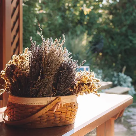 Katang Vendeghaz Apartament Tardosbanya