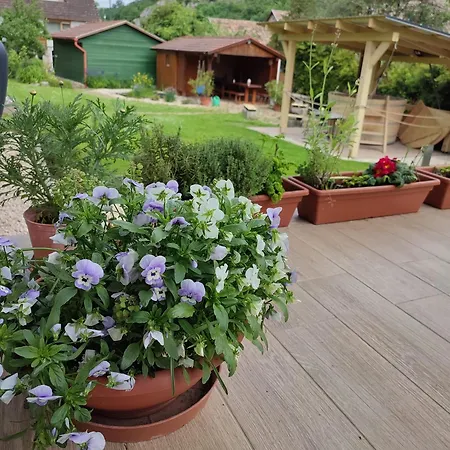 Apartament Katang Vendeghaz *