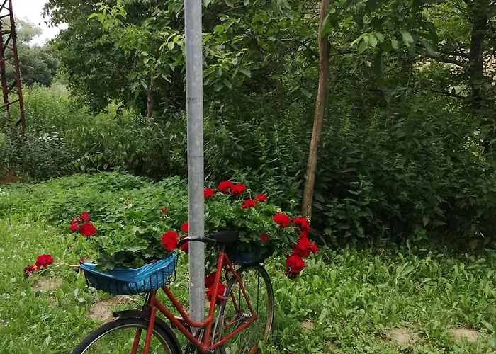 Katáng
